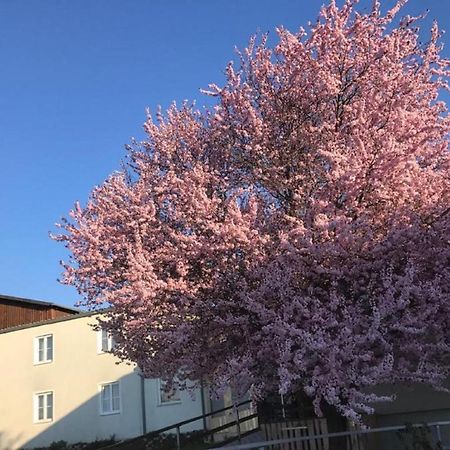 Landpension Gschwantner Lengenfeld Eksteriør bilde