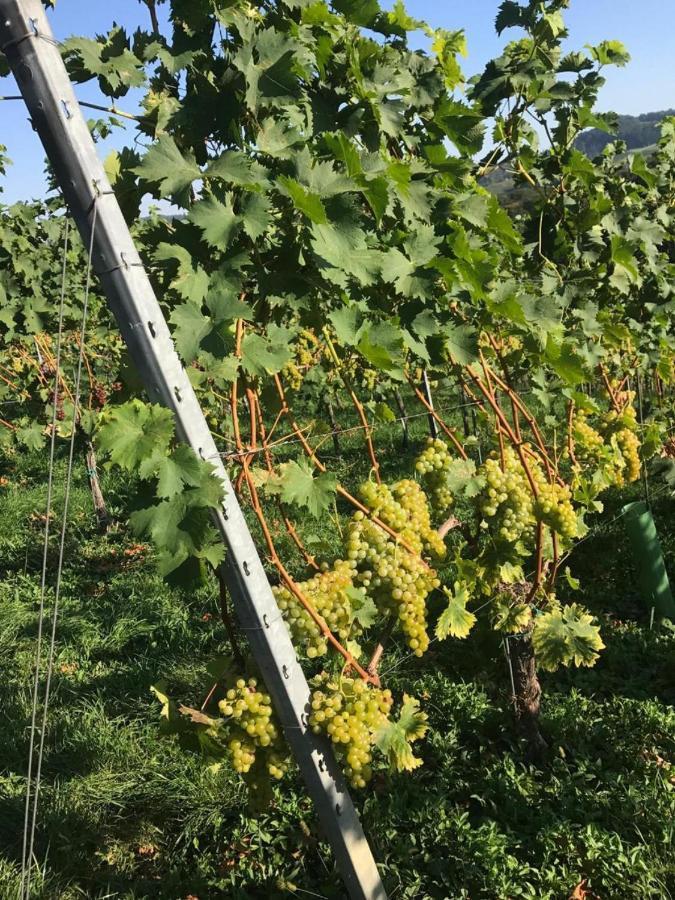Landpension Gschwantner Lengenfeld Eksteriør bilde